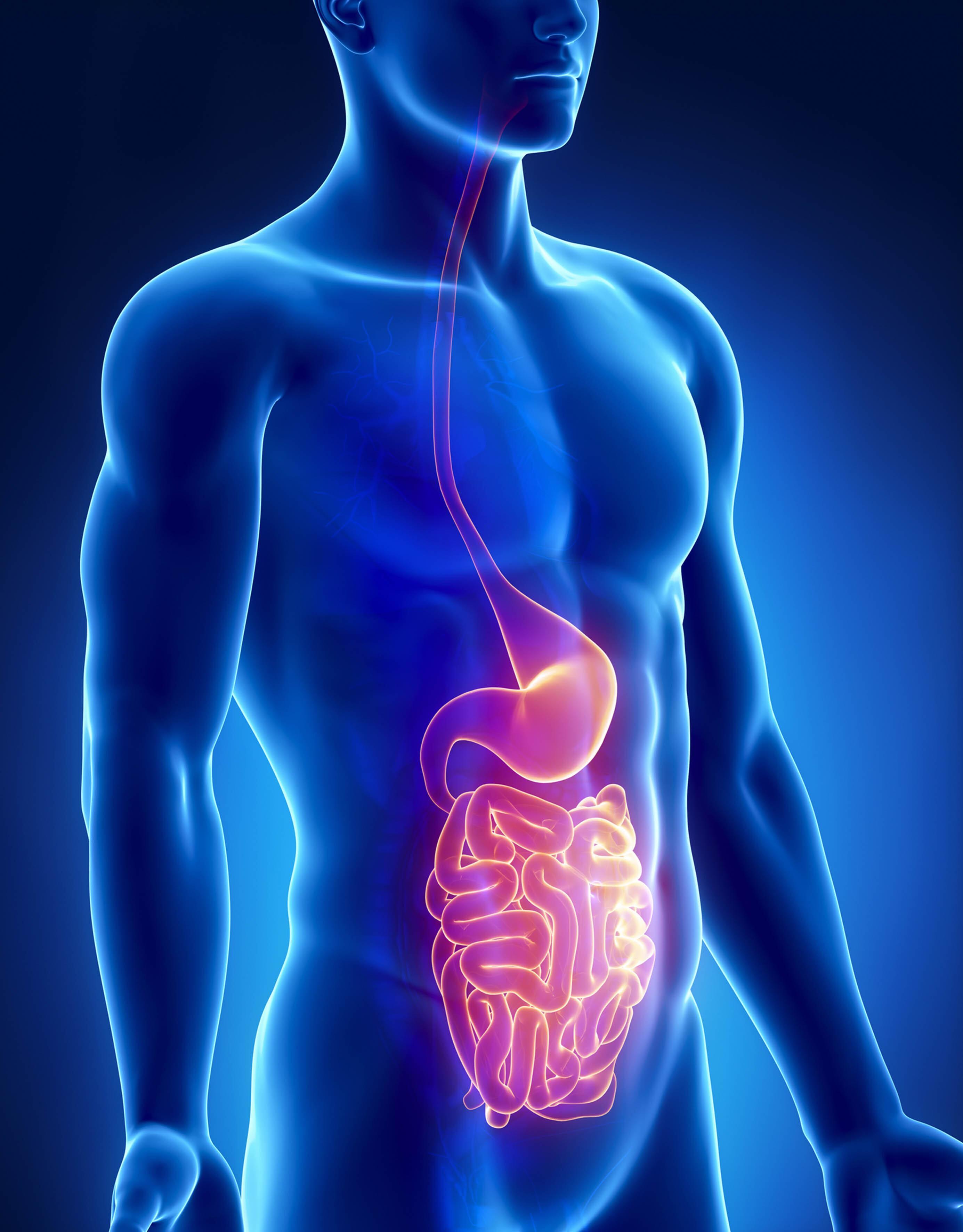 Internal view of colon, colonoscopy, colorectal cancer